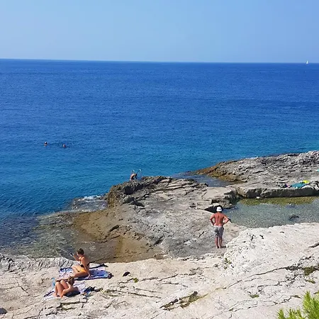 Holiday home House With A Swimming Pool Loborika, Pula - 22776